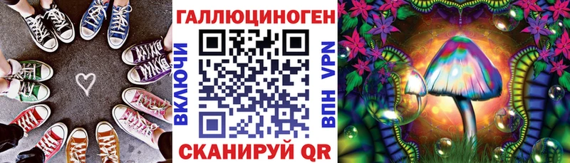 Псилоцибиновые грибы GOLDEN TEACHER  kraken зеркало  дарк нет состав  Рудня 